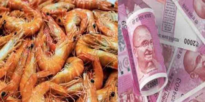 തട്ടിപ്പുകളുടെ പറുദീസയായി കേരളം ; ആട് – മാഞ്ചിയത്തിനു ശേഷം ഇപ്പോള് ചെമ്മീന് ; 1000 കോടിയിലേറെ തട്ടിപ്പ് തട്ടിപ്പുകളുടെ പറുദീസയായി കേരളം ; ആട് – മാഞ്ചിയത്തിനു ശേഷം ഇപ്പോള് ചെമ്മീന് ; 1000 കോടിയിലേറെ തട്ടിപ്പ്