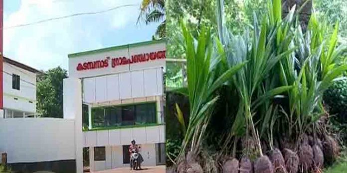 അഴിമതിയില് കുളിച്ച് പത്തനംതിട്ടയിലെ സിപിഎ ; സര്ക്കാരിന്റെ തെങ്ങ് ഗവേഷണ കേന്ദ്രത്തിന് നല്കിയ ഓര്ഡര് റദ്ദാക്കി സ്വകാര്യകമ്പനിക്കു നല്കാന് ശ്രമം അഴിമതിയില് കുളിച്ച് പത്തനംതിട്ടയിലെ സിപിഎ ; സര്ക്കാരിന്റെ തെങ്ങ് ഗവേഷണ കേന്ദ്രത്തിന് നല്കിയ ഓര്ഡര് റദ്ദാക്കി സ്വകാര്യകമ്പനിക്കു നല്കാന് ശ്രമം