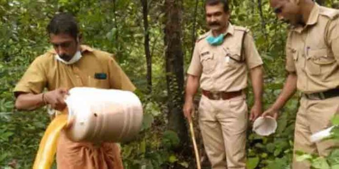 ആലക്കോട് വന് ചാരായ വേട്ട : വാഷ് പിടികൂടി ആലക്കോട് വന് ചാരായ വേട്ട : വാഷ് പിടികൂടി