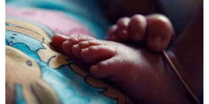 ഇടുക്കി ചേറ്റുകുഴിയില് രണ്ടു വയസുകാരന് ടിപ്പര് ലോറി ഇടിച്ചു മരിച്ചു ഇടുക്കി ചേറ്റുകുഴിയില് രണ്ടു വയസുകാരന് ടിപ്പര് ലോറി ഇടിച്ചു മരിച്ചു