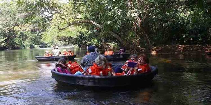 കോവിഡിന്റെ നീണ്ട ഇടവേളക്കുശേഷം ആങ്ങമൂഴിയിലും കോന്നി അടവിയിലും കുട്ടവഞ്ചി സവാരി പുനരാരംഭിച്ചു കോവിഡിന്റെ നീണ്ട ഇടവേളക്കുശേഷം ആങ്ങമൂഴിയിലും കോന്നി അടവിയിലും കുട്ടവഞ്ചി സവാരി പുനരാരംഭിച്ചു