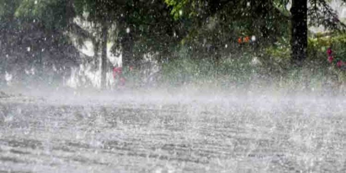 ഒന്പത് ജില്ലകളില് ശക്തമായ മഴയ്ക്ക് സാധ്യത ഒന്പത് ജില്ലകളില് ശക്തമായ മഴയ്ക്ക് സാധ്യത