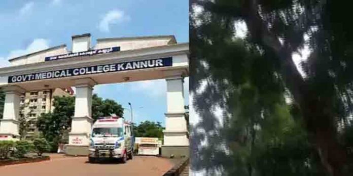 മൊബൈല് റേഞ്ചിനായി മരത്തില് കയറി ; മരത്തില് നിന്ന് വീണ് ആദിവാസി വിദ്യാര്ഥിക്ക് വീണ് ഗുരുതര പരുക്ക് മൊബൈല് റേഞ്ചിനായി മരത്തില് കയറി ; മരത്തില് നിന്ന് വീണ് ആദിവാസി വിദ്യാര്ഥിക്ക് വീണ് ഗുരുതര പരുക്ക്