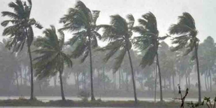 സംസ്ഥാനത്ത് ഇന്നും ശക്തമായ മഴ തുടരും ; ശക്തമായ കാറ്റ് വീശാന് സാധ്യത സംസ്ഥാനത്ത് ഇന്നും ശക്തമായ മഴ തുടരും ; ശക്തമായ കാറ്റ് വീശാന് സാധ്യത