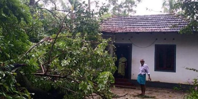 ആലപ്പുഴയിൽ ശക്തമായ കാറ്റില് മരം വീണ് വീട് തകര്ന്നു ആലപ്പുഴയിൽ ശക്തമായ കാറ്റില് മരം വീണ് വീട് തകര്ന്നു