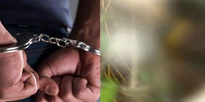 കണ്ണൂരില് യുവാവിന്റെ മൃതദേഹം കനാലില് കണ്ടെത്തിയ സംഭവം ; ഒരാള് അറസ്റ്റില് കണ്ണൂരില് യുവാവിന്റെ മൃതദേഹം കനാലില് കണ്ടെത്തിയ സംഭവം ; ഒരാള് അറസ്റ്റില്