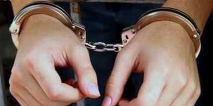 യുവാവിനെ മര്ദിച്ച് കാര് റാഞ്ചി – ഒപ്പം പട്ടിക്കുട്ടികളെയും ; കൊച്ചിയില് യുവതി അറസ്റ്റില് യുവാവിനെ മര്ദിച്ച് കാര് റാഞ്ചി – ഒപ്പം പട്ടിക്കുട്ടികളെയും ; കൊച്ചിയില് യുവതി അറസ്റ്റില്