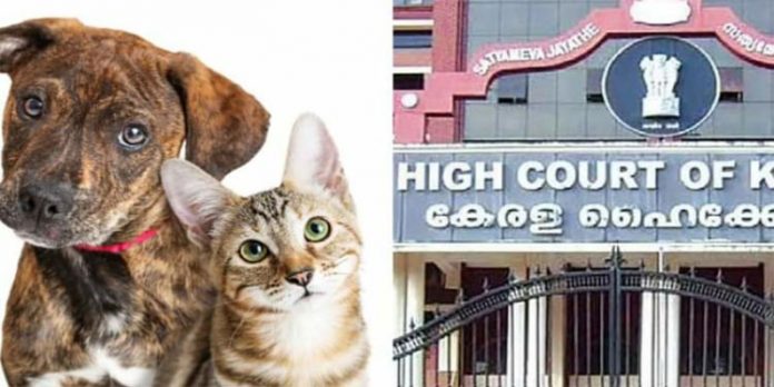 വളർത്തു മൃഗങ്ങൾക്ക് ലൈസൻസ് ഏർപ്പെടുത്താനുള്ള നടപടികൾ വേഗത്തിലാക്കണമെന്ന് ഹൈക്കോടതി വളർത്തു മൃഗങ്ങൾക്ക് ലൈസൻസ് ഏർപ്പെടുത്താനുള്ള നടപടികൾ വേഗത്തിലാക്കണമെന്ന് ഹൈക്കോടതി