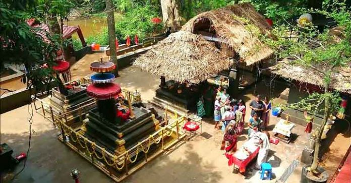 കല്ലേലി കാവില് കര്ക്കിടക വാവ് പിതൃപൂജ ആഗസ്ത് 8 ന് രാവിലെ കല്ലേലി കാവില് കര്ക്കിടക വാവ് പിതൃപൂജ ആഗസ്ത് 8 ന് രാവിലെ