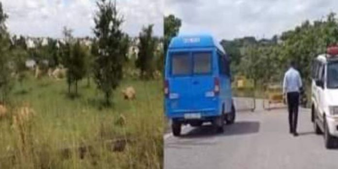 മൈസൂരു കൂട്ടബലാത്സംഗം ; പെണ്കുട്ടി മൊഴി രേഖപ്പെടുത്താതെ നഗരം വിട്ടെന്ന് പോലീസ് മൈസൂരു കൂട്ടബലാത്സംഗം ; പെണ്കുട്ടി മൊഴി രേഖപ്പെടുത്താതെ നഗരം വിട്ടെന്ന് പോലീസ്