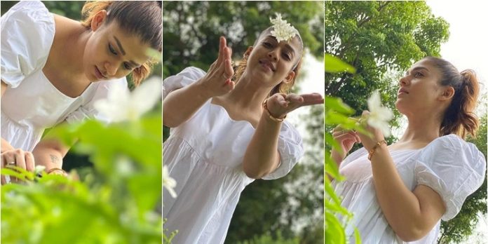 ജീവിതം തിരിച്ചു കറക്കി മാറ്റാന് അവസരം ലഭിച്ചാല് അച്ഛന്റെ അസുഖം മാറ്റിയെടുത്ത് അദ്ദേഹത്തെ പഴയ പോലെ കാണണം ; കണ്ണീരോടെ നയൻതാര ജീവിതം തിരിച്ചു കറക്കി മാറ്റാന് അവസരം ലഭിച്ചാല് അച്ഛന്റെ അസുഖം മാറ്റിയെടുത്ത് അദ്ദേഹത്തെ പഴയ പോലെ കാണണം ; കണ്ണീരോടെ നയൻതാര