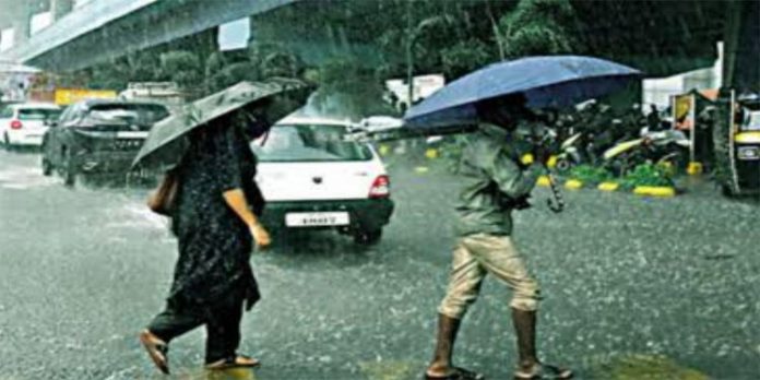 കേരളത്തില് ഇന്നും നാളെയും ഒറ്റപ്പെട്ട മഴക്ക് സാധ്യത കേരളത്തില് ഇന്നും നാളെയും ഒറ്റപ്പെട്ട മഴക്ക് സാധ്യത