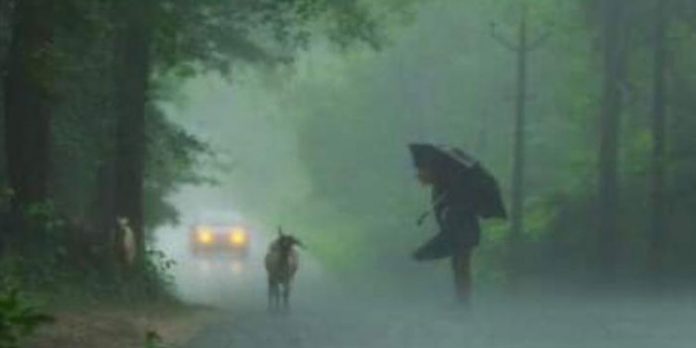 സംസ്ഥാനത്ത് ഇന്നും വ്യാപക മഴയ്ക്ക് സാധ്യത സംസ്ഥാനത്ത് ഇന്നും വ്യാപക മഴയ്ക്ക് സാധ്യത