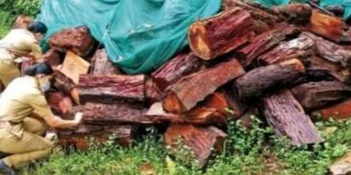 വിവാദ ഉത്തരവ് പിന്വലിച്ചശേഷവും മരംമുറിക്ക് അനുമതി നല്കി ; അന്വേഷണ സംഘത്തിന്റെ കണ്ടെത്തല് വിവാദ ഉത്തരവ് പിന്വലിച്ചശേഷവും മരംമുറിക്ക് അനുമതി നല്കി ; അന്വേഷണ സംഘത്തിന്റെ കണ്ടെത്തല്