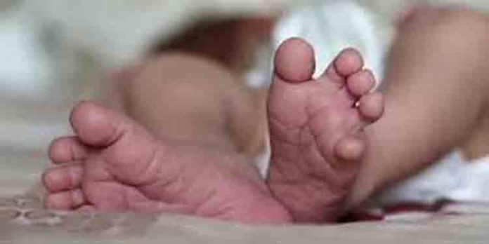 സ്വകാര്യ ആശുപത്രിയിലെ ശുചിമുറിയില് നവജാത ശിശുവിന്റെ മൃതദേഹം കണ്ടെത്തിയ സംഭവത്തില് മൂന്നു പേര്ക്കെതിരെ കേസ് സ്വകാര്യ ആശുപത്രിയിലെ ശുചിമുറിയില് നവജാത ശിശുവിന്റെ മൃതദേഹം കണ്ടെത്തിയ സംഭവത്തില് മൂന്നു പേര്ക്കെതിരെ കേസ്