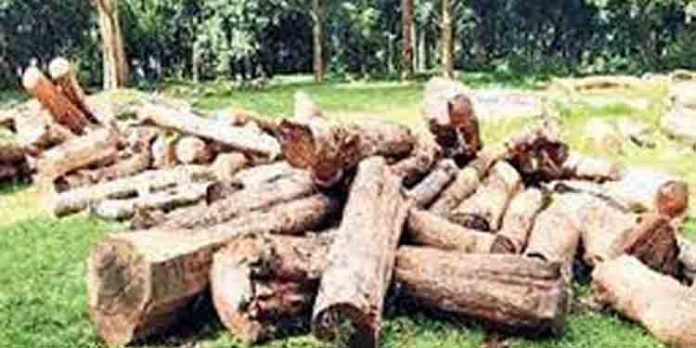 മുട്ടില് മരംമുറിക്കേസില് ആരോപണവിധേയനായ ഉദ്യോഗസ്ഥന് സ്ഥലം മാറ്റം മുട്ടില് മരംമുറിക്കേസില് ആരോപണവിധേയനായ ഉദ്യോഗസ്ഥന് സ്ഥലം മാറ്റം