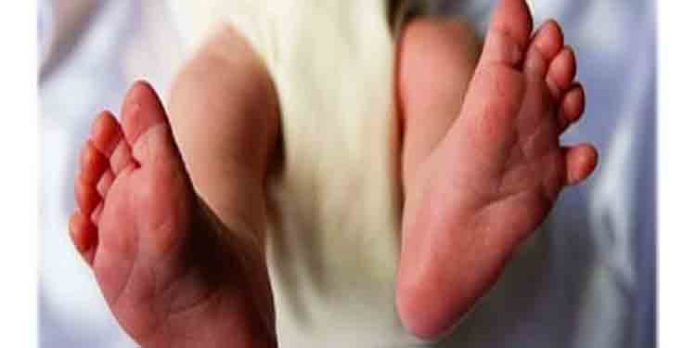 ശുചിമുറിയില് പതിനേഴുകാരി പ്രസവിച്ച സംഭവo : ബാലവകാശ കമ്മീഷന് കേസെടുത്തു ശുചിമുറിയില് പതിനേഴുകാരി പ്രസവിച്ച സംഭവo : ബാലവകാശ കമ്മീഷന് കേസെടുത്തു