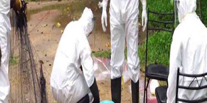കോഴിക്കോട് എട്ടുപേര്ക്കുകൂടി നിപ്പ ലക്ഷണങ്ങള് ; മൃഗങ്ങളുടെ സ്രവം ശേഖരിച്ചു തുടങ്ങി കോഴിക്കോട് എട്ടുപേര്ക്കുകൂടി നിപ്പ ലക്ഷണങ്ങള് ; മൃഗങ്ങളുടെ സ്രവം ശേഖരിച്ചു തുടങ്ങി