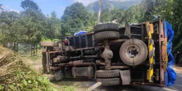 ആനച്ചാലിന് സമീപം ചരക്ക് ലോറി മറിഞ്ഞ് ഡ്രൈവര് മരിച്ചു ആനച്ചാലിന് സമീപം ചരക്ക് ലോറി മറിഞ്ഞ് ഡ്രൈവര് മരിച്ചു