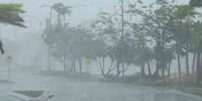 സംസ്ഥാനത്ത് കനത്തമഴ : പത്ത് ജില്ലകളില് ഇന്ന് യെല്ലോ അലേര്ട്ട് സംസ്ഥാനത്ത് കനത്തമഴ : പത്ത് ജില്ലകളില് ഇന്ന് യെല്ലോ അലേര്ട്ട്