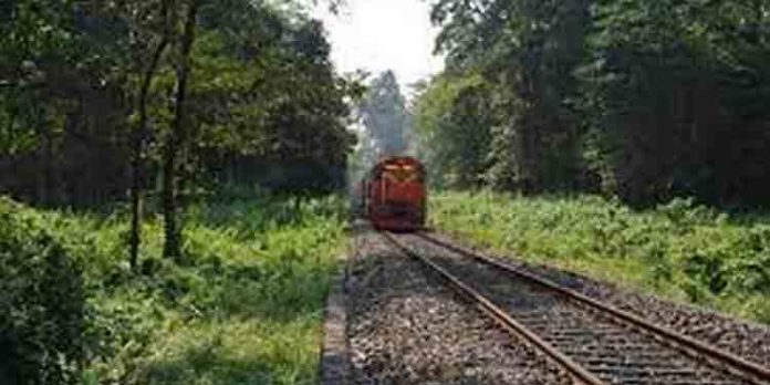 അജ്ഞാതരായ രണ്ട് സ്ത്രീകള് ട്രെയിന് തട്ടി മരിച്ചു അജ്ഞാതരായ രണ്ട് സ്ത്രീകള് ട്രെയിന് തട്ടി മരിച്ചു