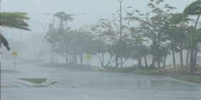 കേരളത്തില് കനത്ത മഴയ്ക്ക് സാധ്യത ; വിവിധ ജില്ലകളില് യെല്ലോ അലേര്ട്ട് കേരളത്തില് കനത്ത മഴയ്ക്ക് സാധ്യത ; വിവിധ ജില്ലകളില് യെല്ലോ അലേര്ട്ട്