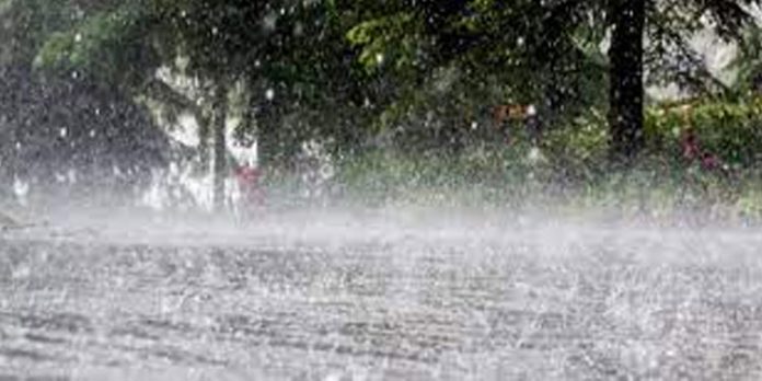 ഗുലാബ് ചുഴലിക്കാറ്റ് : സംസ്ഥാനത്ത് ഇന്ന് ശക്തമായ കാറ്റിനും മഴയ്ക്കു സാധ്യത ഗുലാബ് ചുഴലിക്കാറ്റ് : സംസ്ഥാനത്ത് ഇന്ന് ശക്തമായ കാറ്റിനും മഴയ്ക്കു സാധ്യത