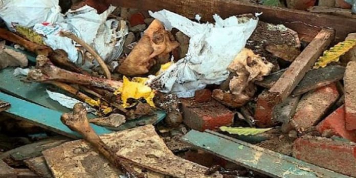 ആലപ്പുഴയില് പൊളിച്ചുകൊണ്ടിരുന്ന കെട്ടിടത്തില് അസ്ഥികൂടം ആലപ്പുഴയില് പൊളിച്ചുകൊണ്ടിരുന്ന കെട്ടിടത്തില് അസ്ഥികൂടം