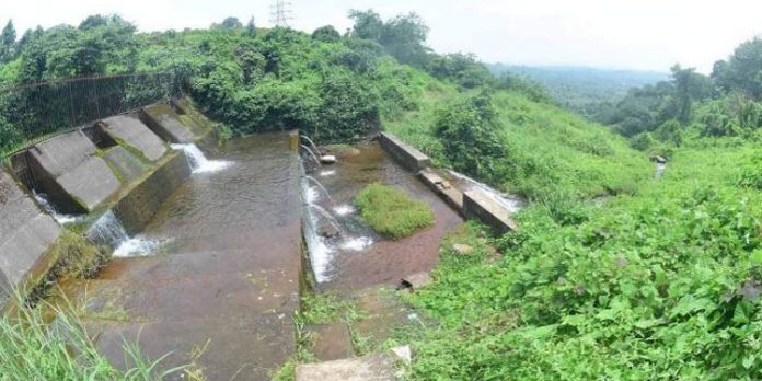 വശ്യമനോഹരമാണ് എടത്തറച്ചോലയുടെ സൗന്ദര്യം വശ്യമനോഹരമാണ് എടത്തറച്ചോലയുടെ സൗന്ദര്യം