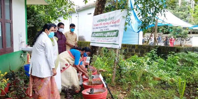 പത്തനംതിട്ട ജില്ലയ്ക്ക് ആറ് ഔഷധസസ്യ പച്ചത്തുരുത്തുകള്കൂടി പത്തനംതിട്ട ജില്ലയ്ക്ക് ആറ് ഔഷധസസ്യ പച്ചത്തുരുത്തുകള്കൂടി
