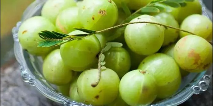 മുടികൊഴിച്ചിലും നരയും അകറ്റാൻ നെല്ലിക്ക ; ഇങ്ങനെ ഉപയോഗിക്കാം മുടികൊഴിച്ചിലും നരയും അകറ്റാൻ നെല്ലിക്ക ; ഇങ്ങനെ ഉപയോഗിക്കാം