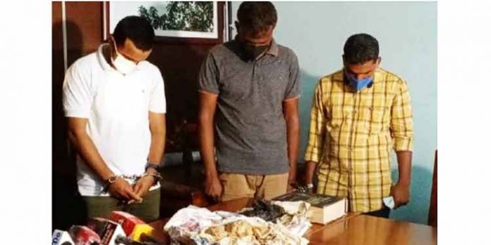 തിമിംഗല ഛര്ദിയുമായി ലക്ഷദ്വീപ് സ്വദേശികളെ പിടികൂടി തിമിംഗല ഛര്ദിയുമായി ലക്ഷദ്വീപ് സ്വദേശികളെ പിടികൂടി