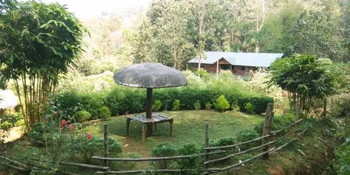 അടവിയിലെ പൂന്തോട്ടം കാട് കയറുന്നു അടവിയിലെ പൂന്തോട്ടം കാട് കയറുന്നു