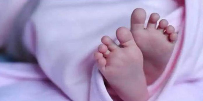 ആശുപത്രി അധികൃതരുടെ അനാസ്ഥ മൂലം നവജാത ശിശു മരിച്ചു ; തൈക്കാട് ആശുപത്രിക്കെതിരെ പരാതി ആശുപത്രി അധികൃതരുടെ അനാസ്ഥ മൂലം നവജാത ശിശു മരിച്ചു ; തൈക്കാട് ആശുപത്രിക്കെതിരെ പരാതി