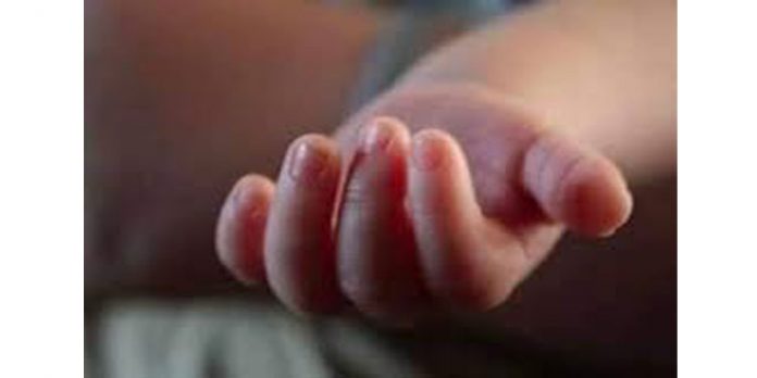 37 വയസിനിടെ പ്രസവിച്ചത് ഏഴുതവണ ; കുട്ടിയെ വിറ്റ അമ്മയെ പിടികൂടിയത് ഒളിവില് കഴിഞ്ഞ വീട്ടില് നിന്ന് 37 വയസിനിടെ പ്രസവിച്ചത് ഏഴുതവണ ; കുട്ടിയെ വിറ്റ അമ്മയെ പിടികൂടിയത് ഒളിവില് കഴിഞ്ഞ വീട്ടില് നിന്ന്