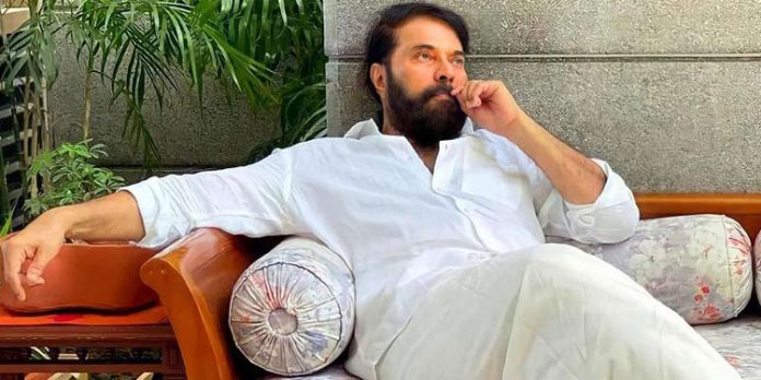 മലയാളികളുടെ വല്ല്യേട്ടന് ; മമ്മൂട്ടിയ്ക്ക് 70–ാംപിറന്നാള് മലയാളികളുടെ വല്ല്യേട്ടന് ; മമ്മൂട്ടിയ്ക്ക് 70–ാംപിറന്നാള്