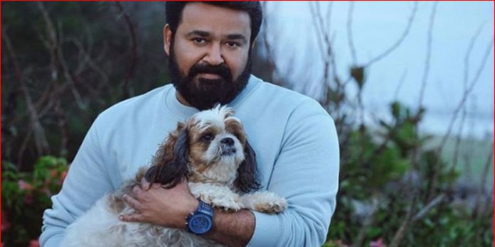 മോഹന്ലാല് ധരിച്ച വാച്ചിന്റെ വില കേട്ട് അമ്പരന്ന് സോഷ്യല് മീഡിയ, കണ്ടെത്തി ആരാധകര് മോഹന്ലാല് ധരിച്ച വാച്ചിന്റെ വില കേട്ട് അമ്പരന്ന് സോഷ്യല് മീഡിയ, കണ്ടെത്തി ആരാധകര്