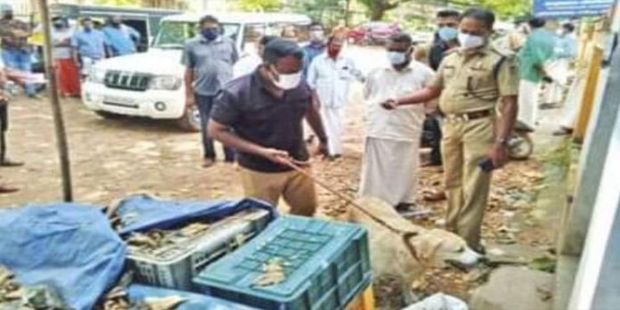 ക്ഷേത്ര വിഗ്രഹം മോഷണം പോയി ; കണ്ടെടുത്തത് സമീപത്തെ പച്ചക്കറി കടയില് നിന്ന് ക്ഷേത്ര വിഗ്രഹം മോഷണം പോയി ; കണ്ടെടുത്തത് സമീപത്തെ പച്ചക്കറി കടയില് നിന്ന്
