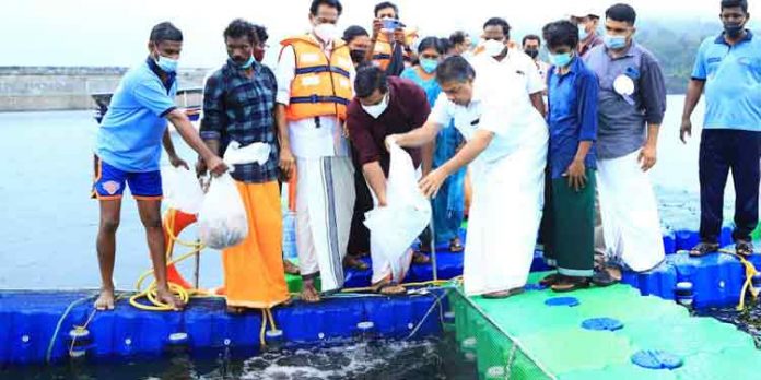 കോന്നി നിയോജക മണ്ഡലത്തില് ആധുനിക മത്സ്യ-മാംസ വിപണന കേന്ദ്രം സ്ഥാപിക്കും : മന്ത്രി സജി ചെറിയാന് കോന്നി നിയോജക മണ്ഡലത്തില് ആധുനിക മത്സ്യ-മാംസ വിപണന കേന്ദ്രം സ്ഥാപിക്കും : മന്ത്രി സജി ചെറിയാന്