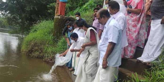 പമ്പാനദിയില് 5000 മത്സ്യ കുഞ്ഞുങ്ങളെ നിക്ഷേപിച്ചു പമ്പാനദിയില് 5000 മത്സ്യ കുഞ്ഞുങ്ങളെ നിക്ഷേപിച്ചു
