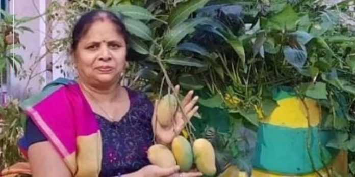 പച്ചക്കറിയും പഴങ്ങളും എല്ലാം വീട്ടിൽ തന്നെ കൃഷി ചെയ്യും ; നൂറിലധികം ഇനങ്ങളുമായി വീട്ടുദ്യാനം പച്ചക്കറിയും പഴങ്ങളും എല്ലാം വീട്ടിൽ തന്നെ കൃഷി ചെയ്യും ; നൂറിലധികം ഇനങ്ങളുമായി വീട്ടുദ്യാനം