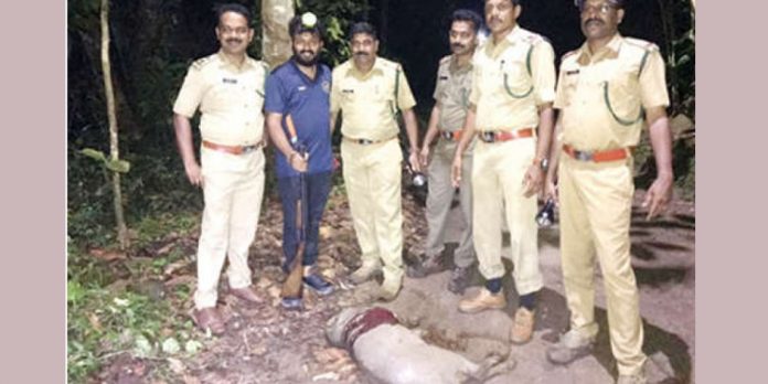 റാന്നി തെക്കേപ്പുറത്ത് കാട്ടുപന്നിയെ വെടിവെച്ചുകൊന്നു റാന്നി തെക്കേപ്പുറത്ത് കാട്ടുപന്നിയെ വെടിവെച്ചുകൊന്നു