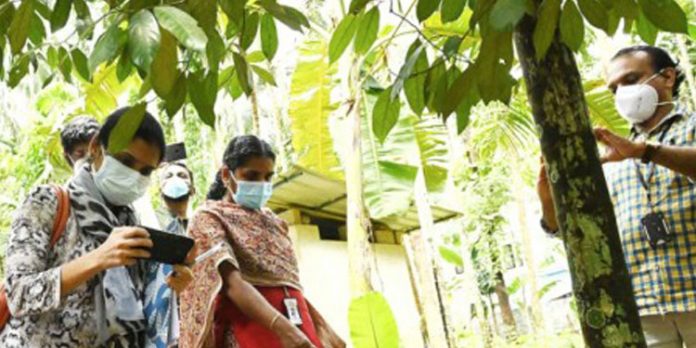 നിപ ബാധിച്ച് മരിച്ച മുഹമ്മദ് ഹാഷിമിന്റെ വീടും പരിസരവും പരിശോധിച്ചു നിപ ബാധിച്ച് മരിച്ച മുഹമ്മദ് ഹാഷിമിന്റെ വീടും പരിസരവും പരിശോധിച്ചു