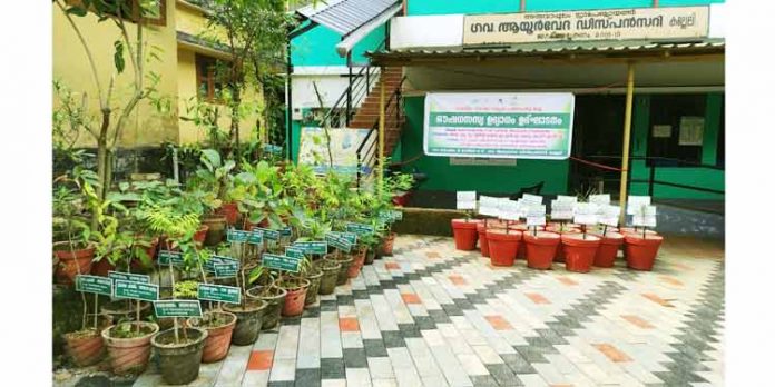 ആയുര്വേദ, ഹോമിയോ ഡിസ്പെന്സറികളില് സഔഷധ സ്യ ഉദ്യാനം ഒരുങ്ങുന്നു ആയുര്വേദ, ഹോമിയോ ഡിസ്പെന്സറികളില് സഔഷധ സ്യ ഉദ്യാനം ഒരുങ്ങുന്നു