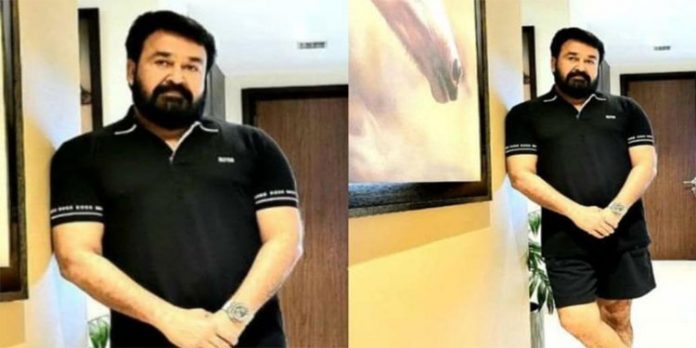 ‘അഡാറ് ലുക്ക് ലാലേട്ടാ’ ; മോഹന്ലാലിന്റെ ഗുഡ്മോണിംഗ് ഫോട്ടോ ഏറ്റെടുത്ത് ആരാധകര് ‘അഡാറ് ലുക്ക് ലാലേട്ടാ’ ; മോഹന്ലാലിന്റെ ഗുഡ്മോണിംഗ് ഫോട്ടോ ഏറ്റെടുത്ത് ആരാധകര്