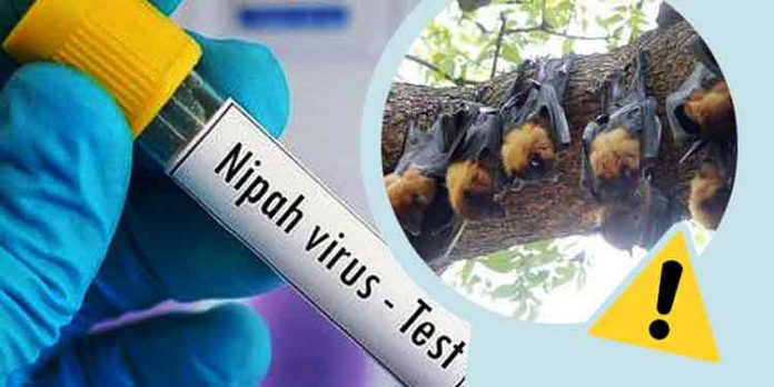 മംഗളൂരുവിൽ ഒരാൾക്ക് നിപ ലക്ഷണം ; ജാഗ്രതാ നിര്ദ്ദേശവുമായി കര്ണാടക സര്ക്കാര് മംഗളൂരുവിൽ ഒരാൾക്ക് നിപ ലക്ഷണം ; ജാഗ്രതാ നിര്ദ്ദേശവുമായി കര്ണാടക സര്ക്കാര്