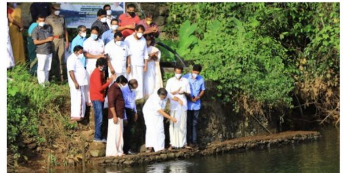 പമ്പാ നദിയില് 50,000 തനത് മത്സ്യ കുഞ്ഞുങ്ങളെ നിക്ഷേപിച്ചു പമ്പാ നദിയില് 50,000 തനത് മത്സ്യ കുഞ്ഞുങ്ങളെ നിക്ഷേപിച്ചു