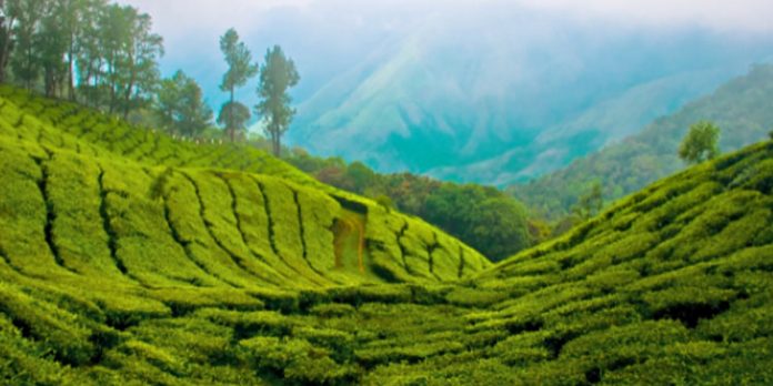 മൂന്നാറിലേക്ക് സഞ്ചാരികളുടെ ഒഴുക്ക് ; ഉഷാറായി ടൂറിസം മേഖല മൂന്നാറിലേക്ക് സഞ്ചാരികളുടെ ഒഴുക്ക് ; ഉഷാറായി ടൂറിസം മേഖല