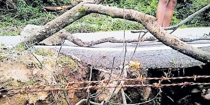 അപകടം പതിയിരിക്കുന്ന മറയൂർ – മൂന്നാർ റോഡിൽ സുരക്ഷയ്ക്കായി ‘മരക്കൊമ്പ് ‘ അപകടം പതിയിരിക്കുന്ന മറയൂർ – മൂന്നാർ റോഡിൽ സുരക്ഷയ്ക്കായി ‘മരക്കൊമ്പ് ‘