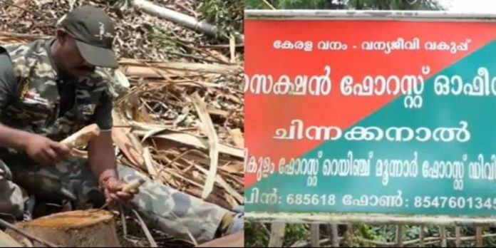 ചിന്നക്കനാലില് വീണ്ടും മരംകൊള്ള ; റവന്യൂ ഭൂമിയില് നിന്ന് ലക്ഷങ്ങളുടെ മരംമുറിച്ചുകടത്തി ചിന്നക്കനാലില് വീണ്ടും മരംകൊള്ള ; റവന്യൂ ഭൂമിയില് നിന്ന് ലക്ഷങ്ങളുടെ മരംമുറിച്ചുകടത്തി